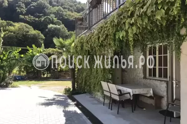 «Зеленый рай», Солоники