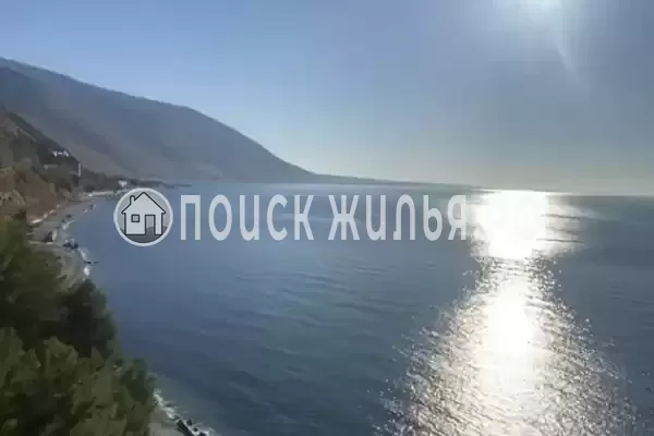 «Зеленый рай», Солоники