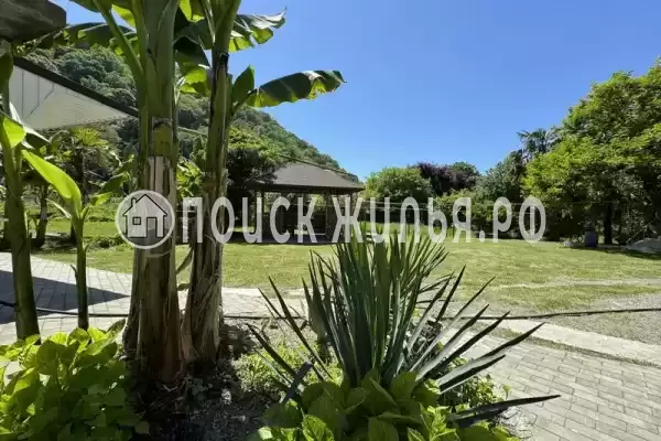 «Зеленый рай», Солоники