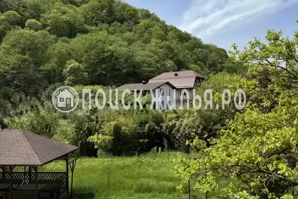 «Зеленый рай», Солоники