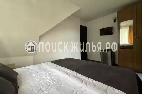 «Зеленый рай», Солоники