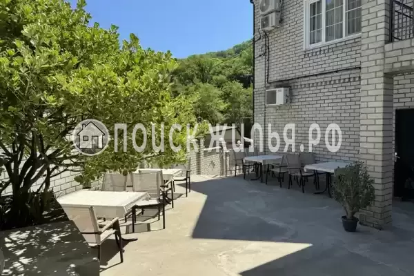 «Зеленый рай», Солоники