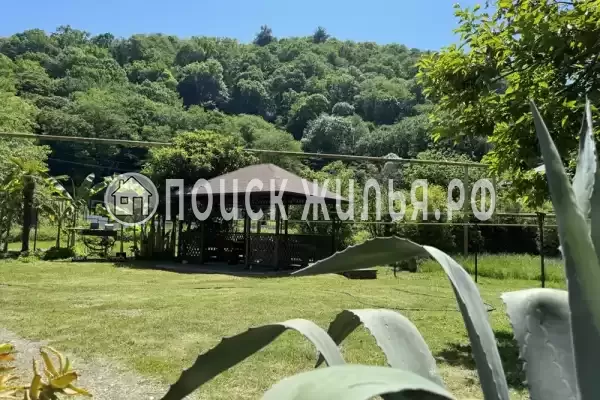 «Зеленый рай», Солоники