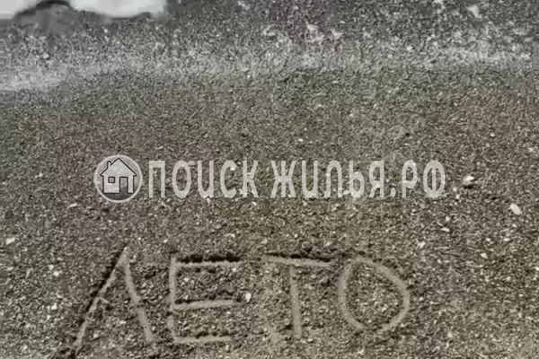 «Зеленый рай», Солоники