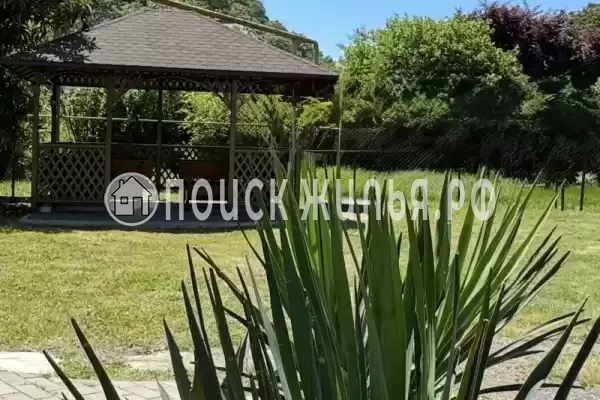 «Зеленый рай», Солоники