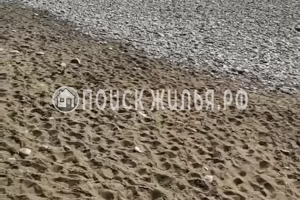 «Зеленый рай», Солоники