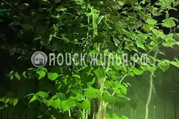 «У Ярика», Вардане «У Ярика», Вардане