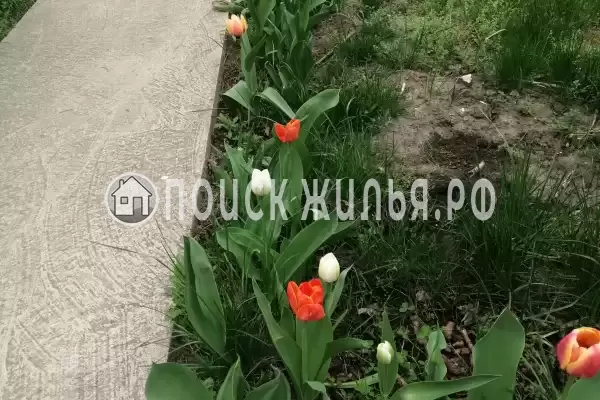 Гостевой дом «Раиса», Брест Гостевой дом «Раиса», Брест