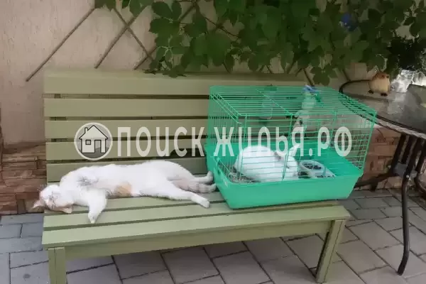 Гостевой дом «Белоснежка», Кабардинка Гостевой дом «Белоснежка», Кабардинка