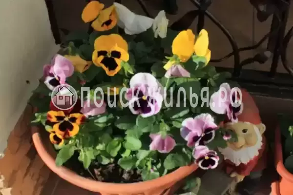 Гостевой дом «Белоснежка», Кабардинка Гостевой дом «Белоснежка», Кабардинка