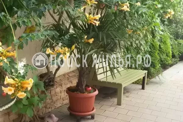 Гостевой дом «Белоснежка», Кабардинка Гостевой дом «Белоснежка», Кабардинка