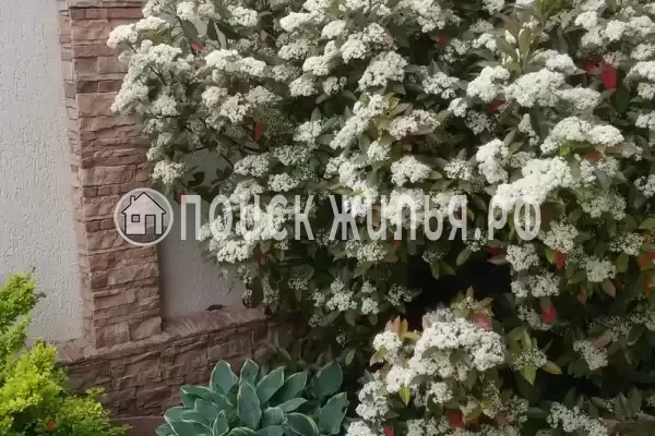 Гостевой дом «Белоснежка», Кабардинка Гостевой дом «Белоснежка», Кабардинка