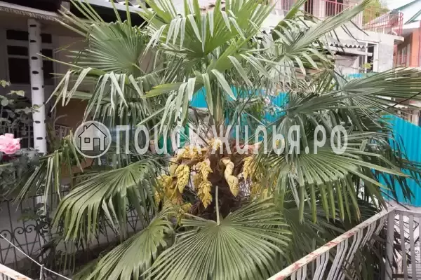 Частный сектор «Светлана», Волконка Частный сектор «Светлана», Волконка