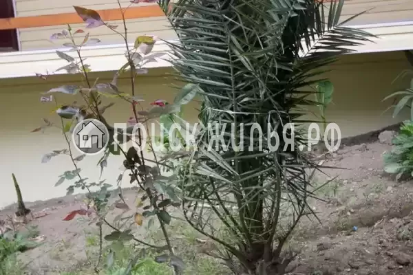 Частный сектор «Светлана», Волконка Частный сектор «Светлана», Волконка