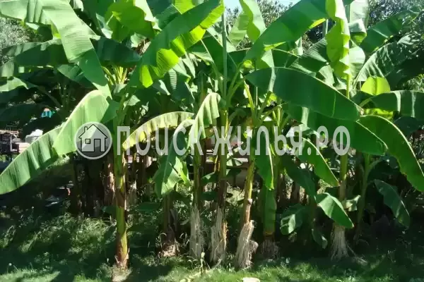 Частный сектор «Дворик детства», Лоо Частный сектор «Дворик детства», Лоо