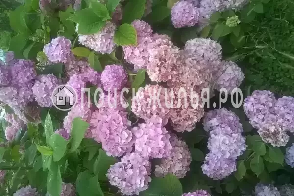 Частный сектор «Дворик детства», Лоо Частный сектор «Дворик детства», Лоо