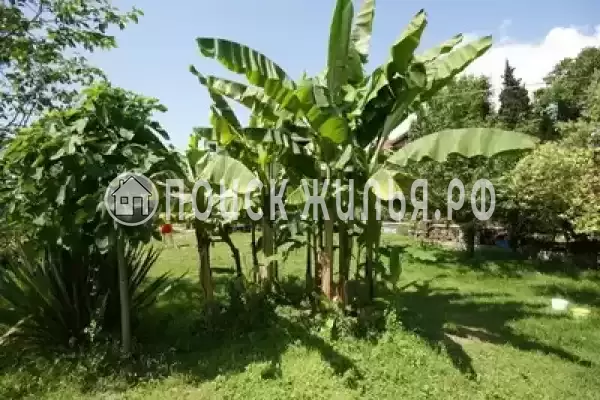 Частный сектор «Дворик детства», Лоо Частный сектор «Дворик детства», Лоо