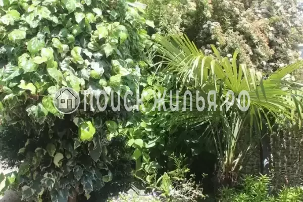 Частный сектор «На Грушевой», Лоо Частный сектор «На Грушевой», Лоо