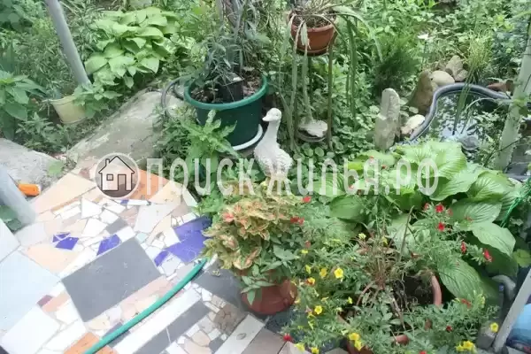 Гостевой дом «У Даши», Геленджик Гостевой дом «У Даши», Геленджик