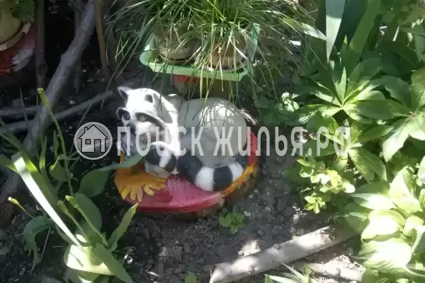 Гостевой дом «У Даши», Геленджик Гостевой дом «У Даши», Геленджик