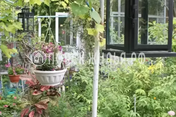 Гостевой дом «У Даши», Геленджик Гостевой дом «У Даши», Геленджик