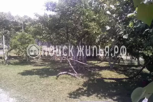 Частный сектор «Paradise», Пицунда Частный сектор «Paradise», Пицунда