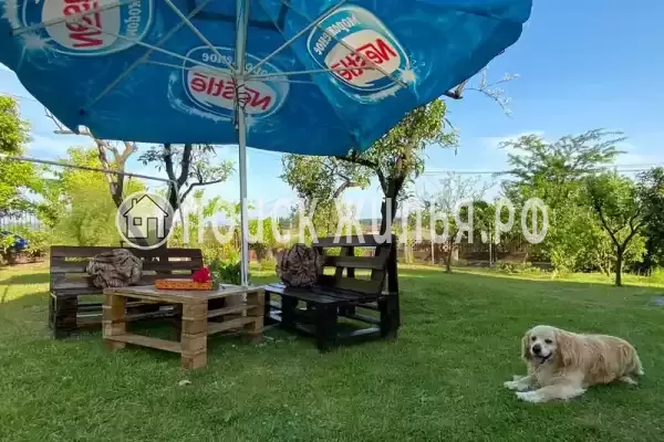 Частный сектор «Paradise», Пицунда Частный сектор «Paradise», Пицунда