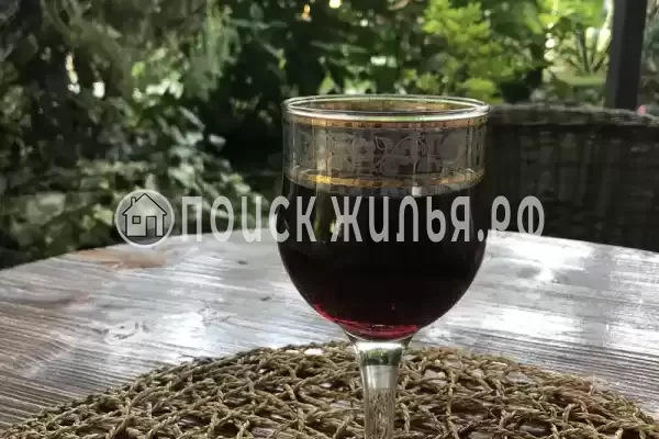 Гостевой дом «Sunrise», Гагра Гостевой дом «Sunrise», Гагра