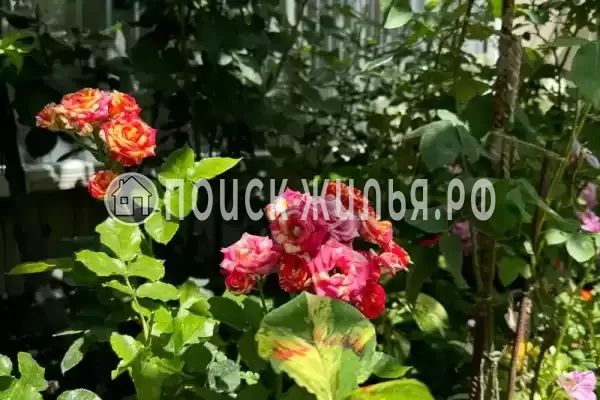 Частный сектор «София», Кабардинка Частный сектор «София», Кабардинка