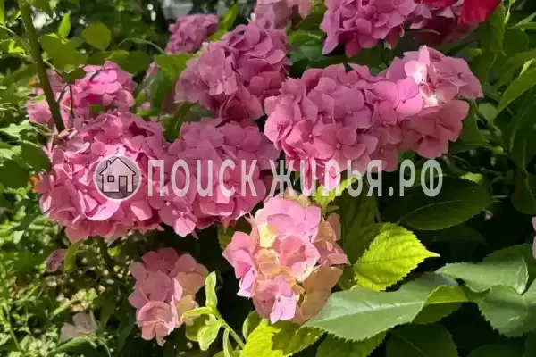 Частный сектор «София», Кабардинка Частный сектор «София», Кабардинка