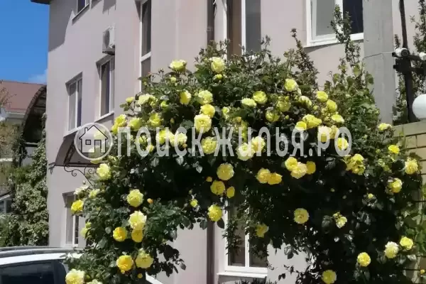 Частный сектор «Розовый фламинго», Витязево, Центральная, д.1Г