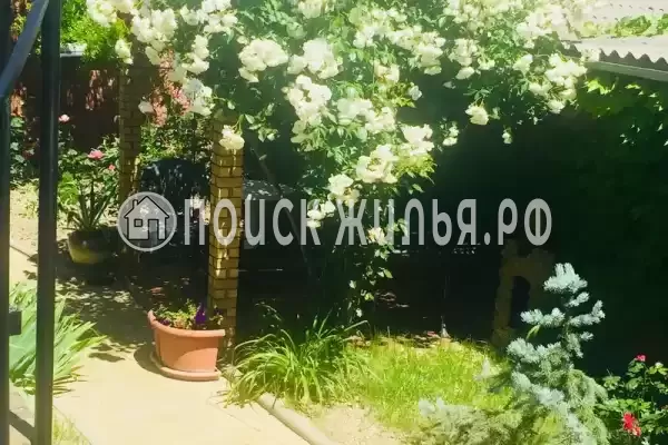 Гостевой дом «Черноморье», Ольгинка Гостевой дом «Черноморье», Ольгинка