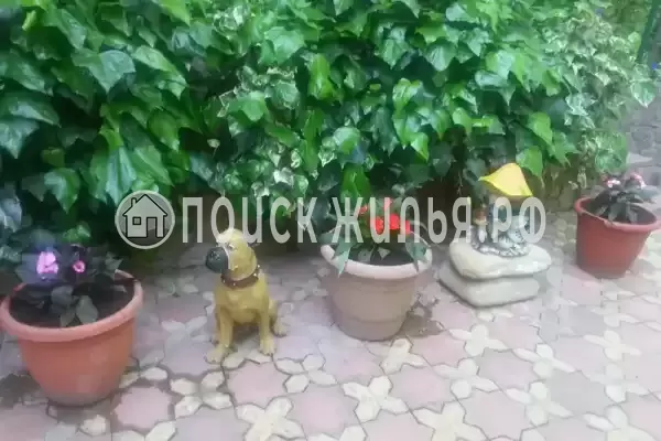 Частный сектор «Райский уголок», Хоста