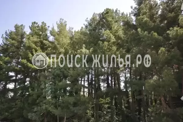 «Командор», Лоо