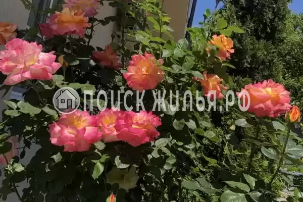 Частный сектор «Афродита», Кабардинка