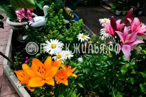 Частный сектор «Зелёный дворик», Геленджик