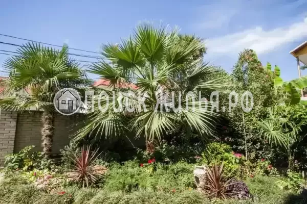 Частный сектор «Лилия», Адлер