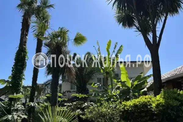 Гостевой дом «Форелька», Гагра