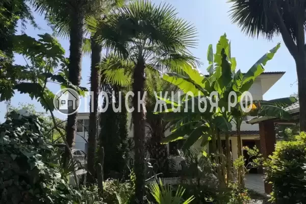 Гостевой дом «Форелька», Гагра