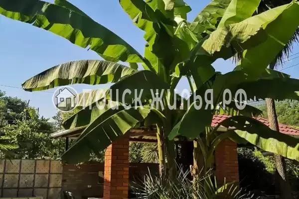 Гостевой дом «Форелька», Гагра