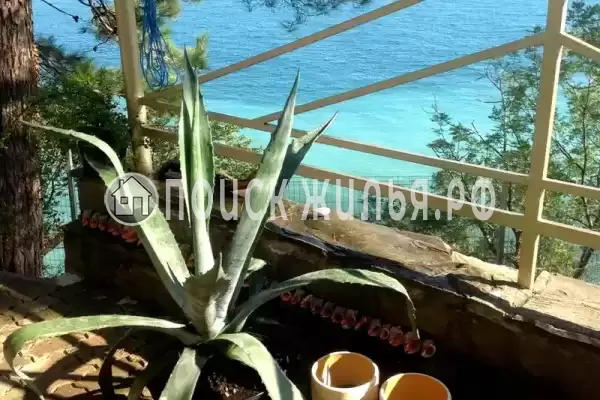 Отель «Вилла Агрия», Ольгинка