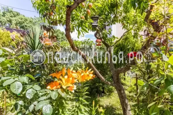 Частный сектор «Как у всех», Геленджик