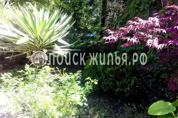 Частный сектор «Лесной», Бетта