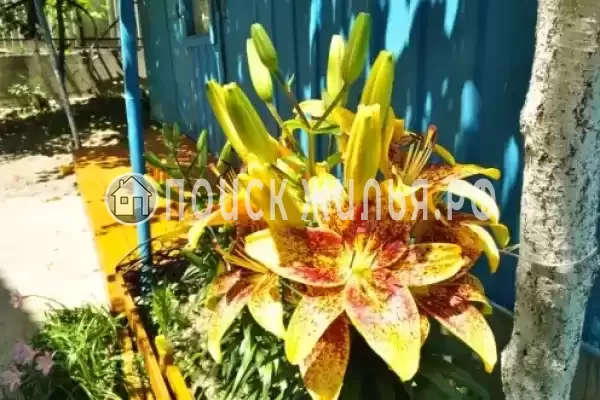 Частный сектор «Изабелла», Вишневка