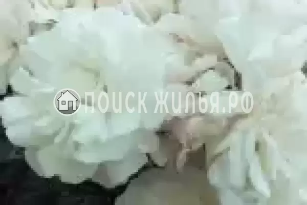 Частный сектор «Сирень», Пересыпь Частный сектор «Сирень», Пересыпь
