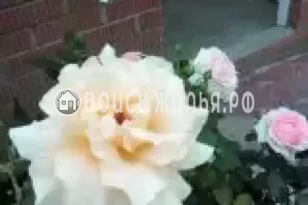 Частный сектор «Сирень», Пересыпь Частный сектор «Сирень», Пересыпь