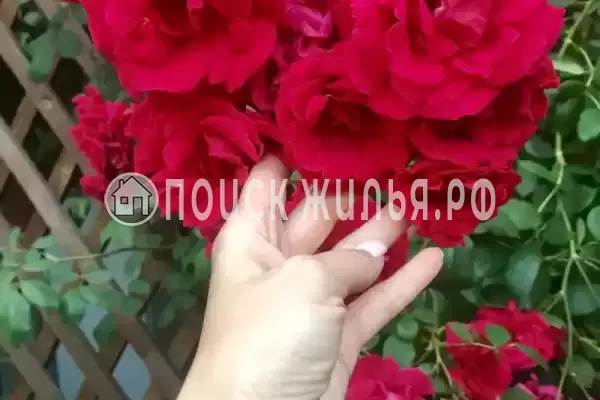 Частный сектор «Елена», Кабардинка