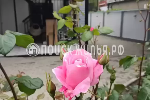 Частный сектор «Домик у моря», Лазаревское