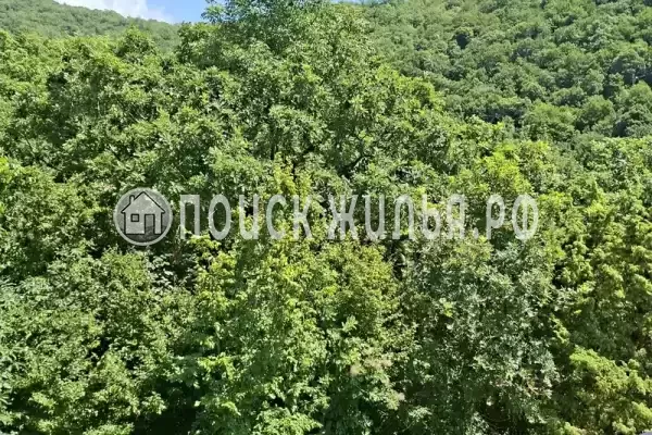 Гостевой дом «Можевеловый рай», Джубга Гостевой дом «Можевеловый рай», Джубга