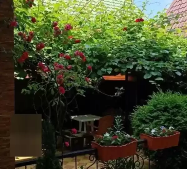 Гостевой дом «Kivi Haus»